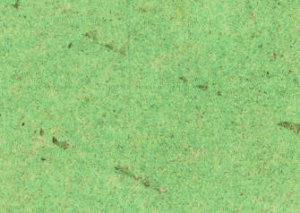 Garden.Ground.28Sheet.6.Detail.Plans.Altrincham.1852.jpg
