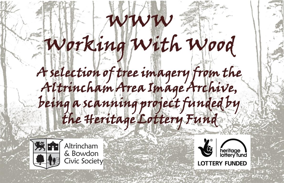 Working with Wood