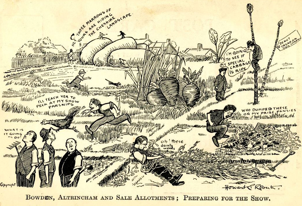 Altrincham market gardens, allotments