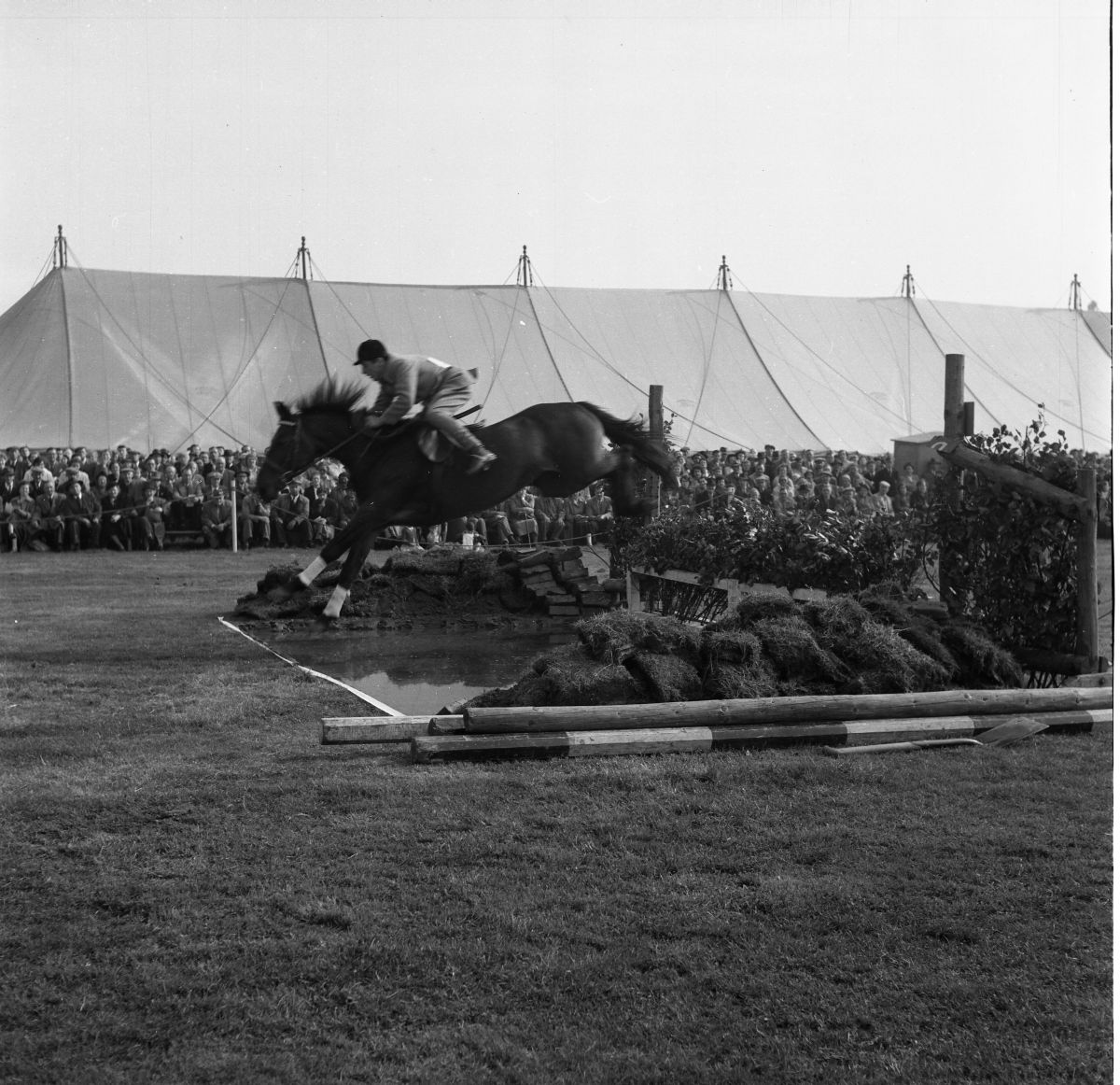 Show jumping 1958