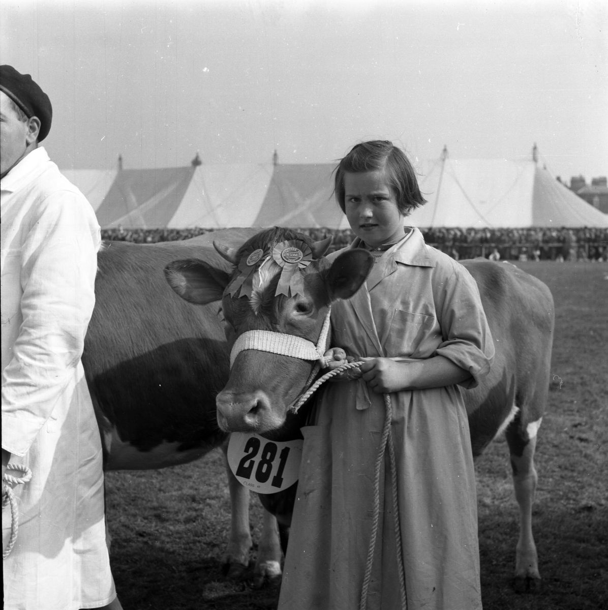 Altrincham Show cow girl, 1958, Ian Gee