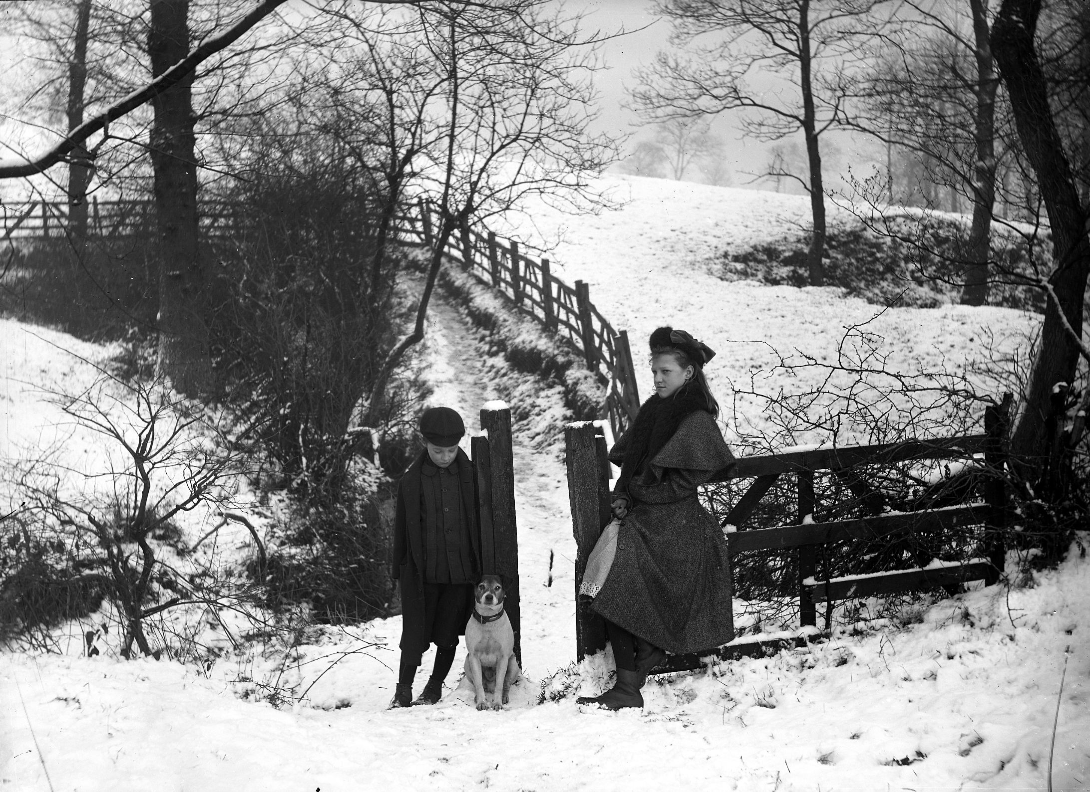 Bollin river valley walk in snow
