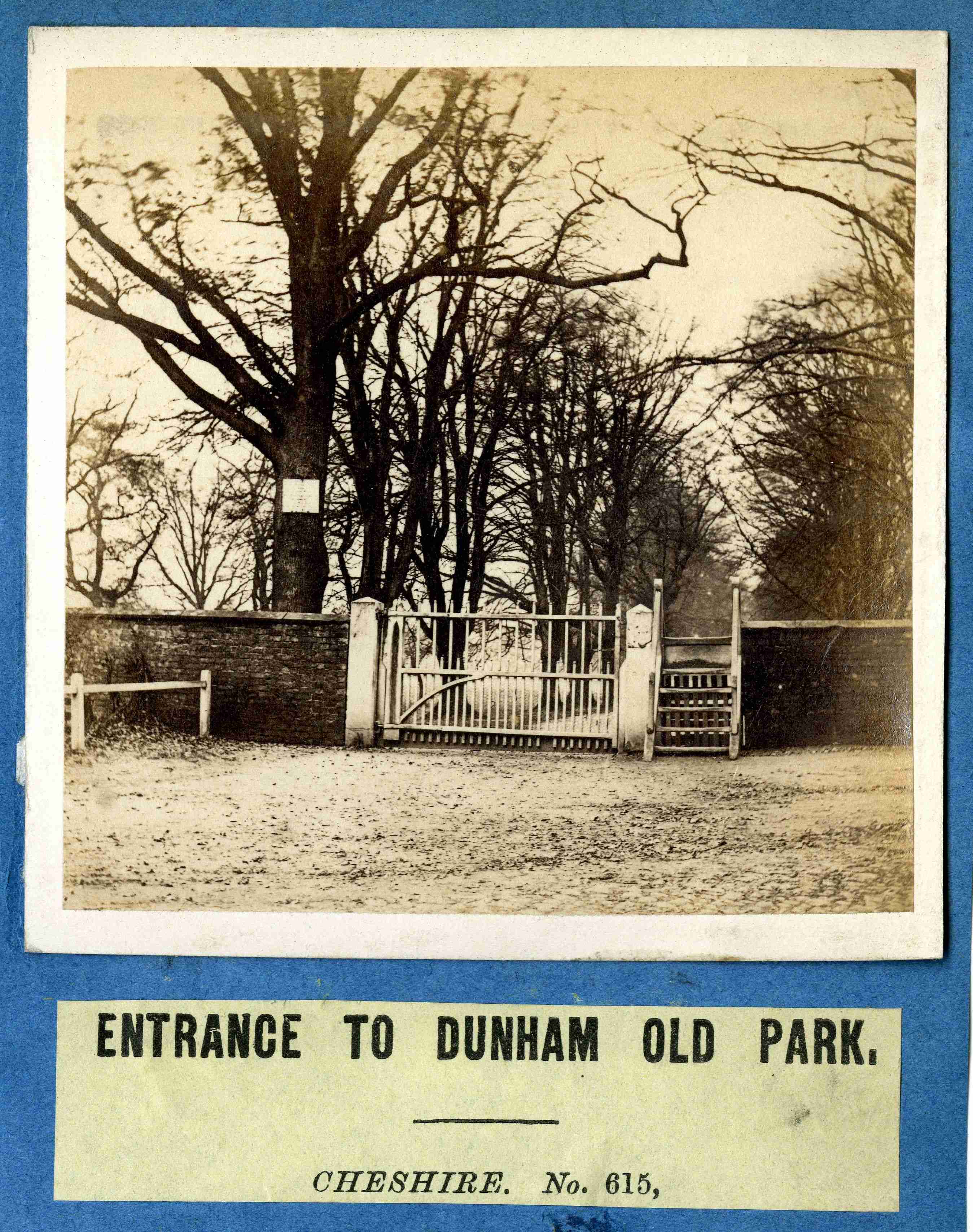 Charcoal Road entrance Beech Avenue