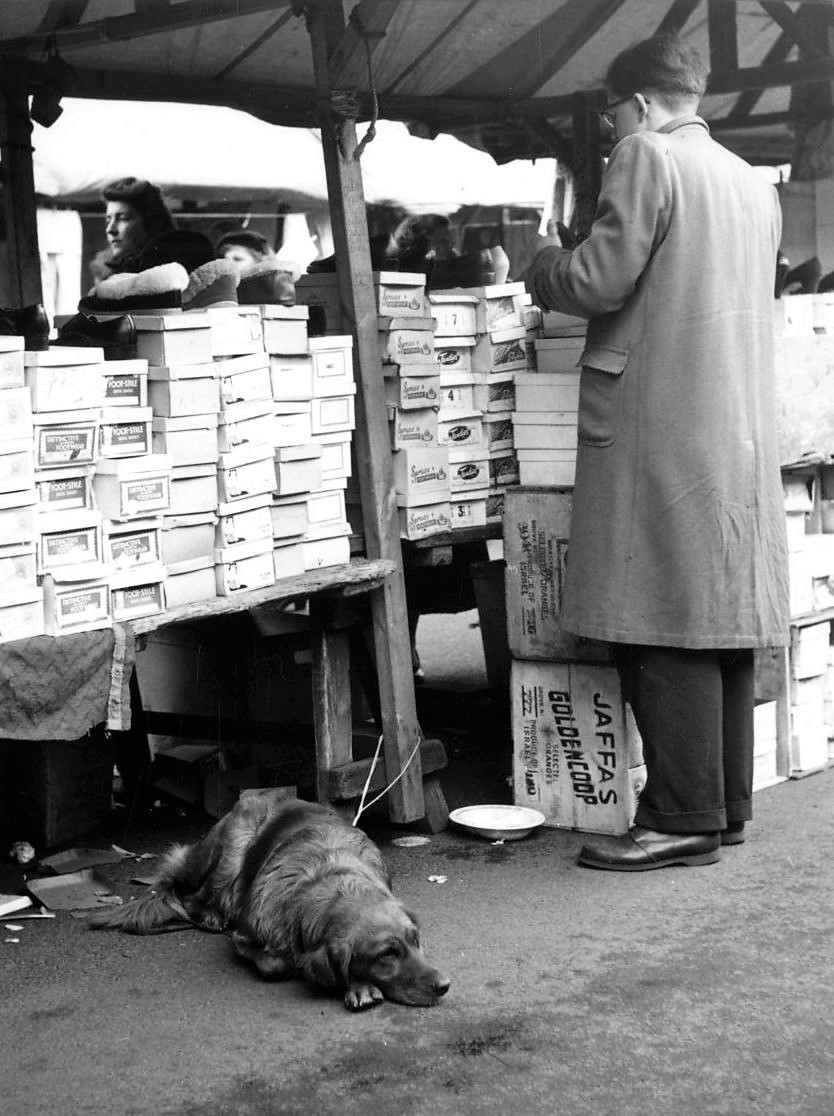 One Day in Alltrincham Market 1956 (7) Altrincham Area Image Archive Ian Gee IG0467PHOTOr